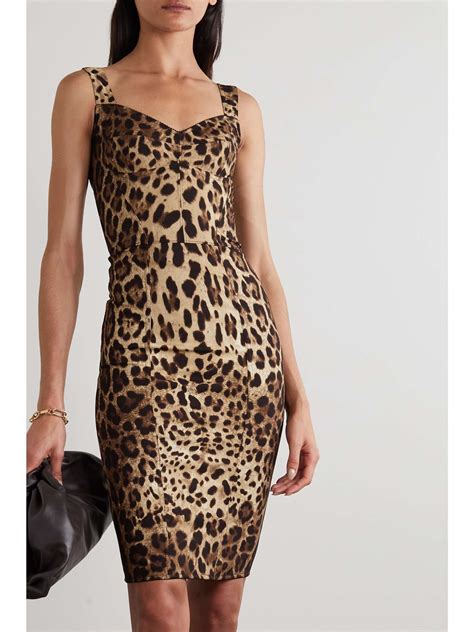 dolce gabbana leopard print